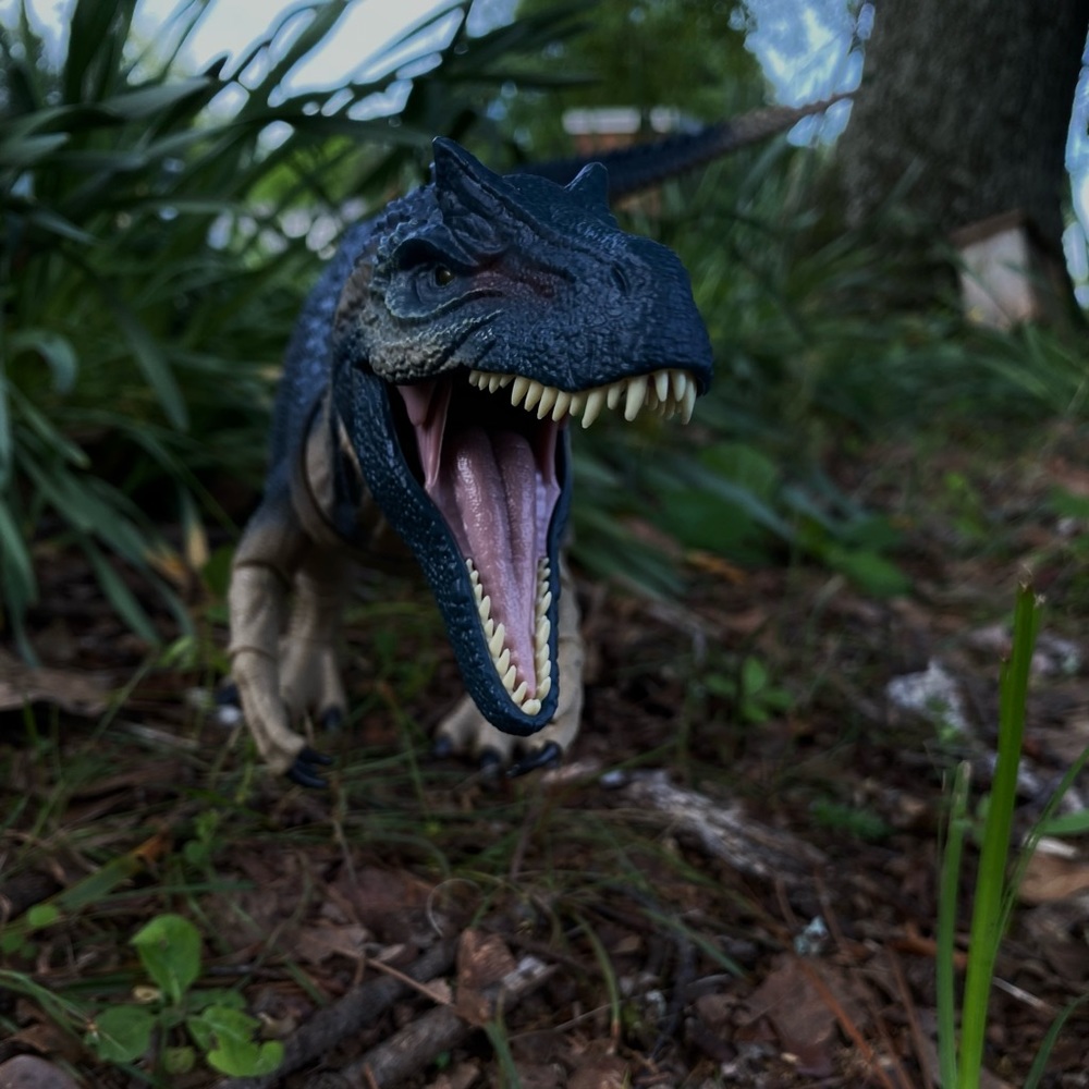 Meet your Posher, Kylie